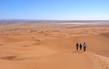 Le Draa  : dunes et tamaris de l’Erg Zaher  à l'erg Sadrat