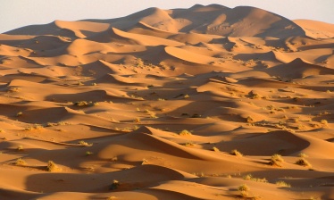 Les Dunes de Merzouga